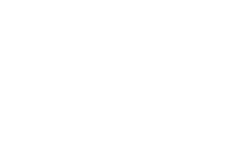 Texas State Guard Memorials logo